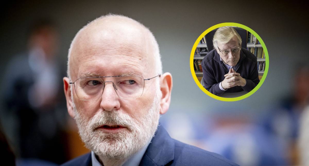 Timmermans