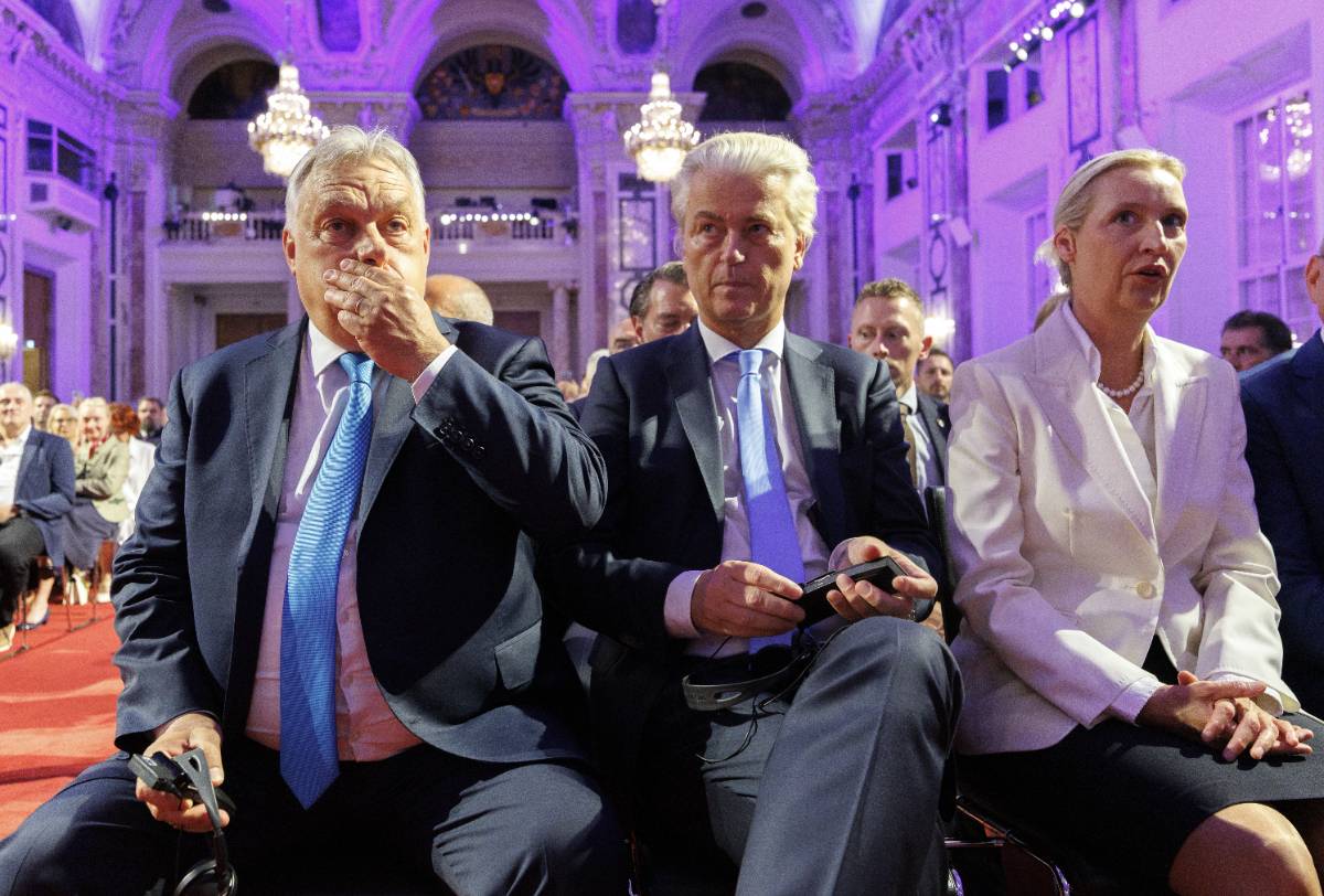 Wilders