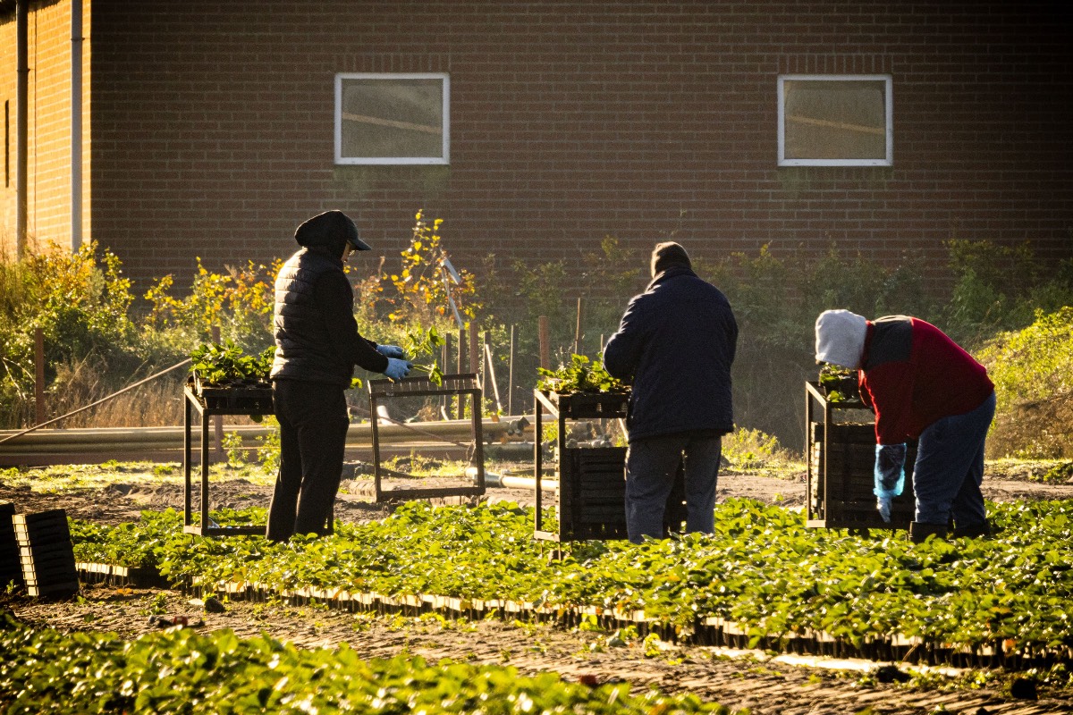 arbeidsmigranten arbeidsmigranten