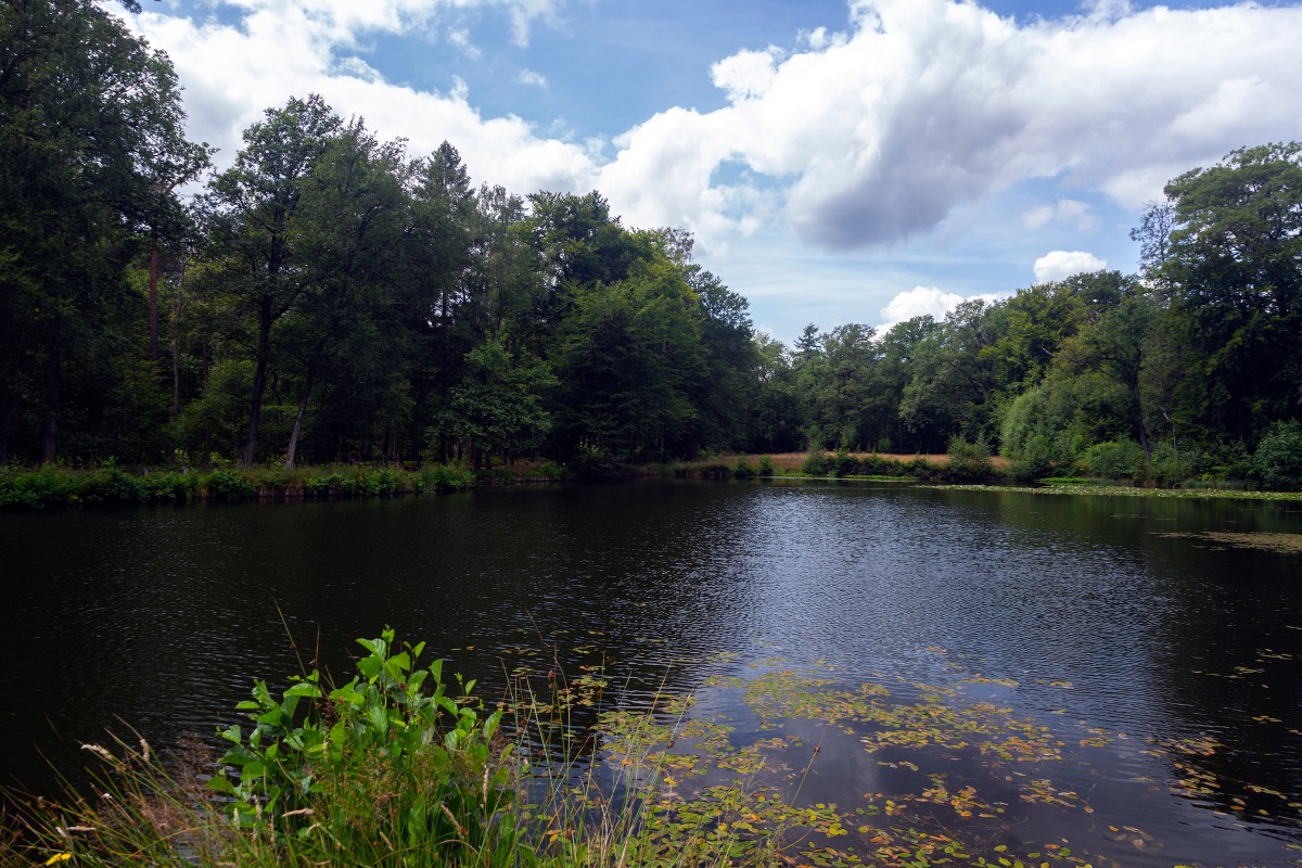 Springendal