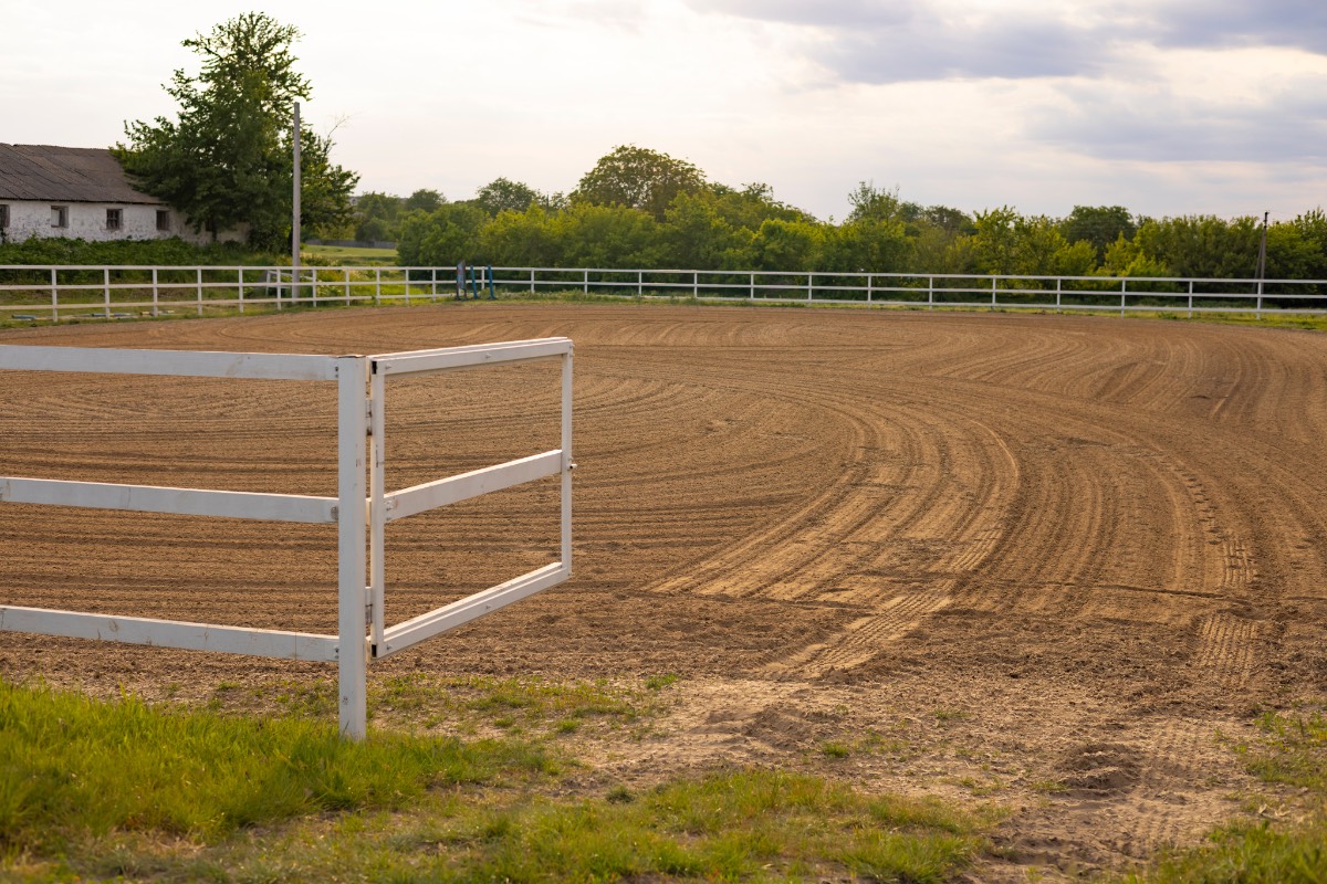 Paardenbaan