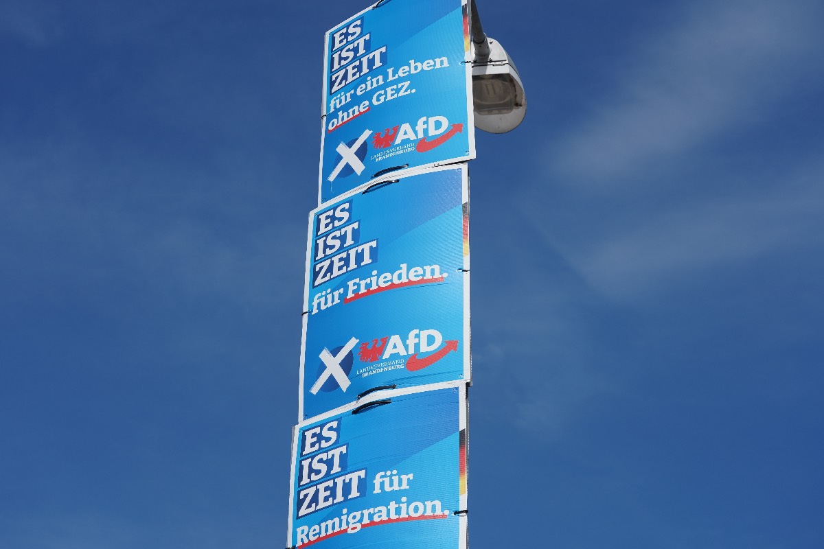 AfD AfD