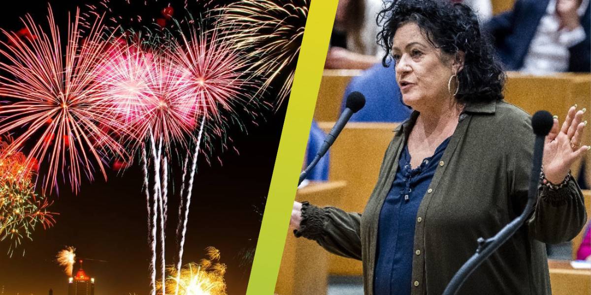 vuurwerk vuurwerk