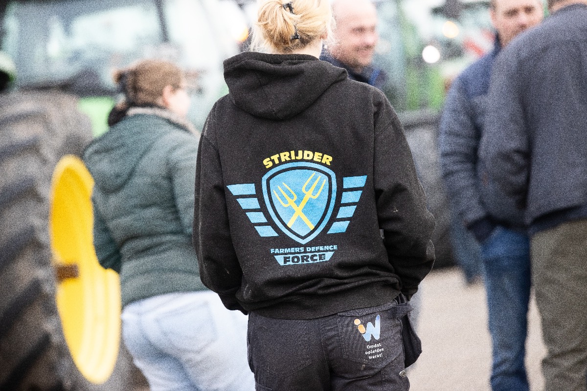 FDF