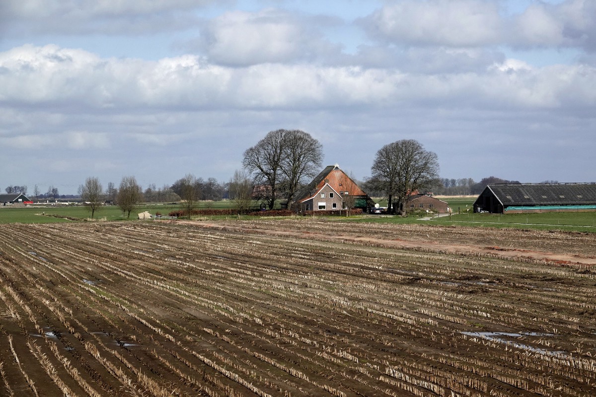 Boeren Boeren