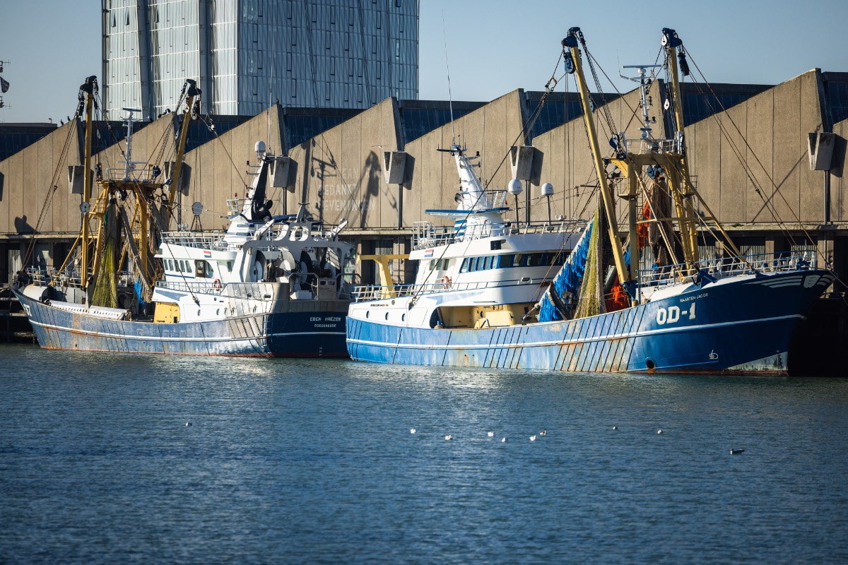 Scheveningse visserij