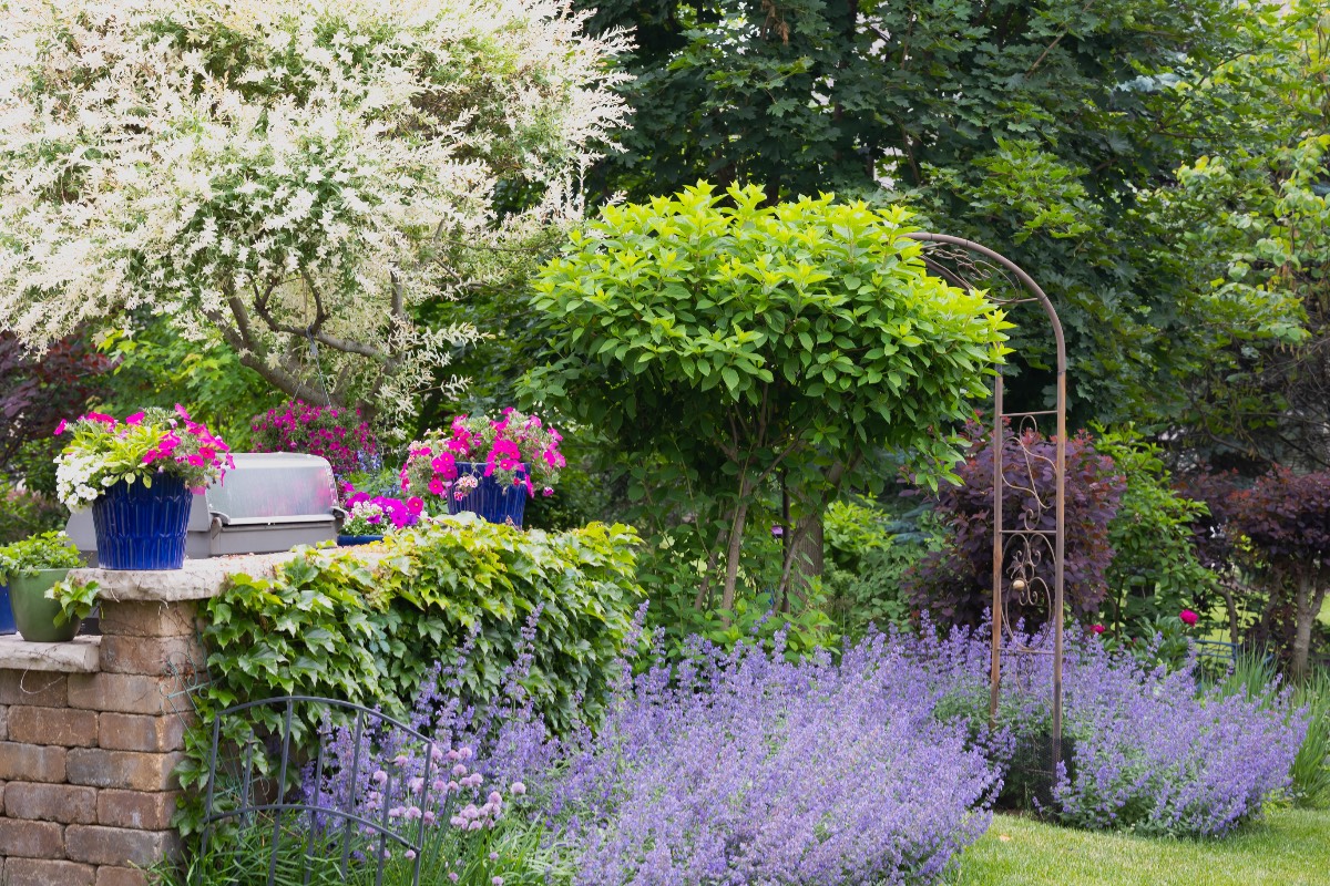 Tuin Tuin