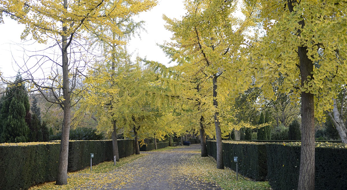 Zuiderpark Zuiderpark