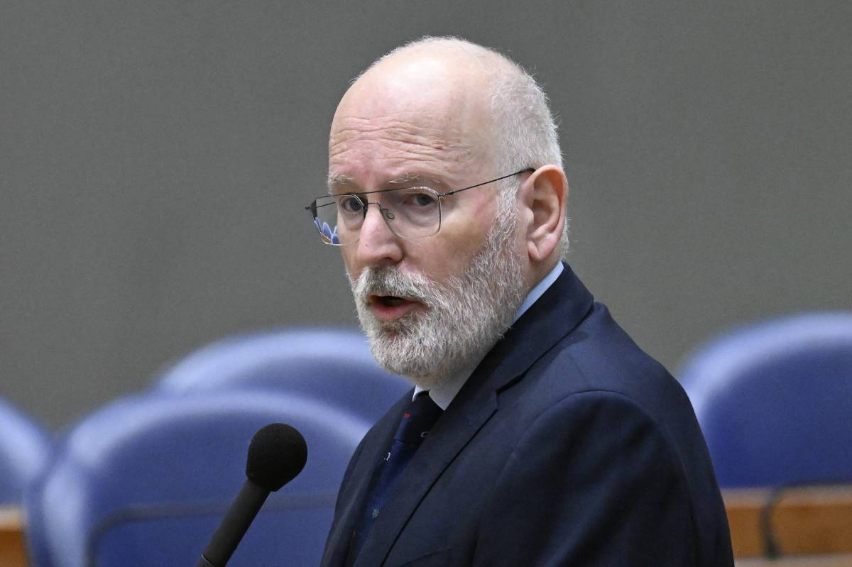 Timmermans