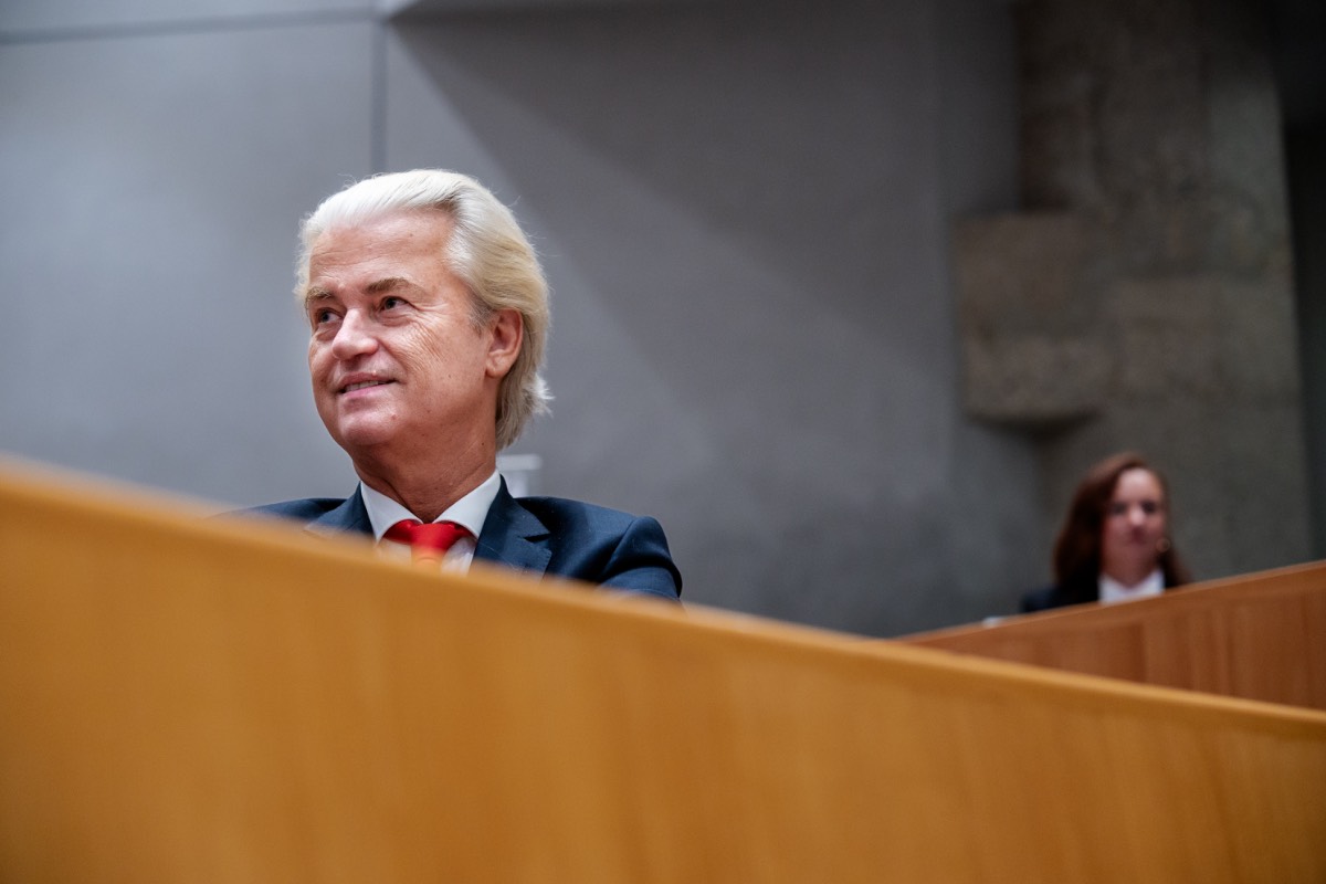 Wilders