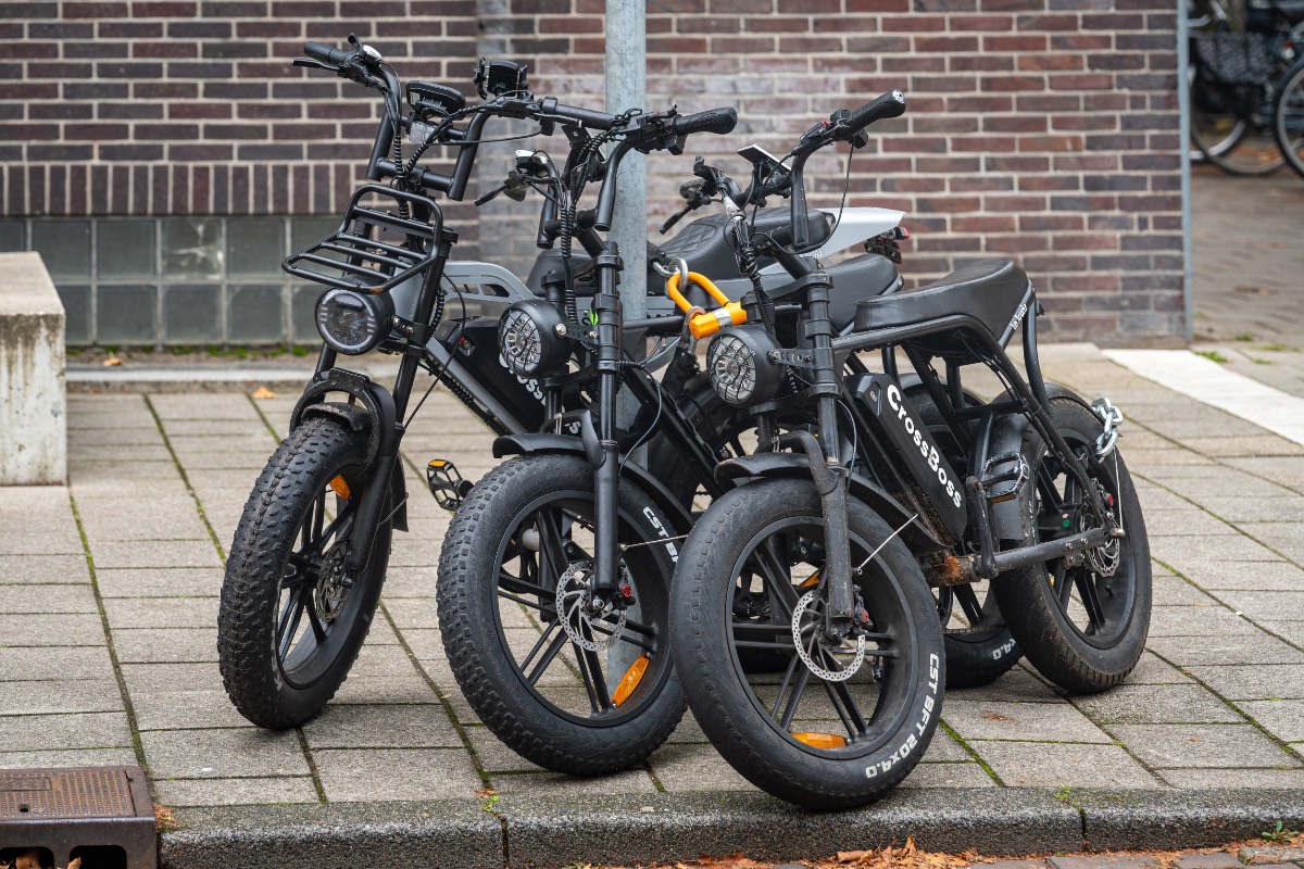 Fatbikes