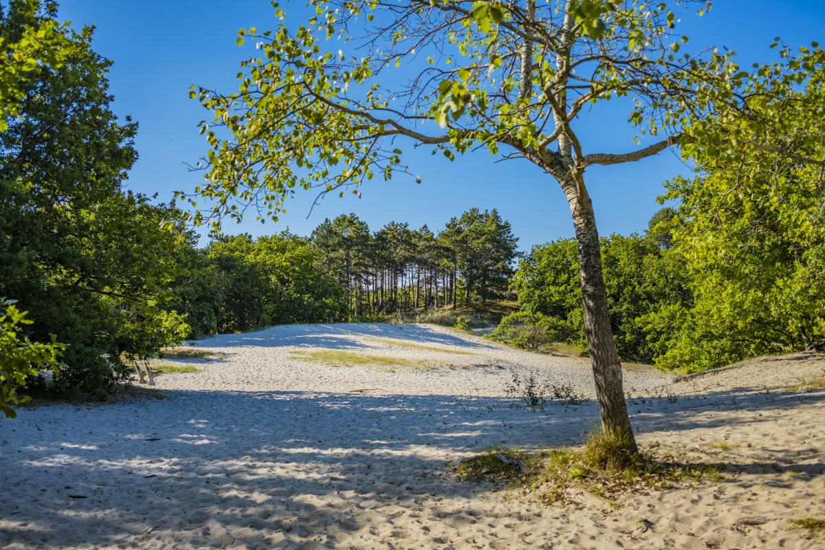 Noordhollands Duinreservaat