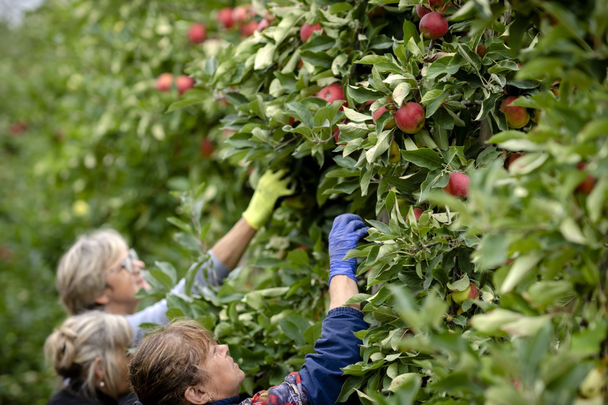 appeloogst arbeidsmigranten appeloogst arbeidsmigranten