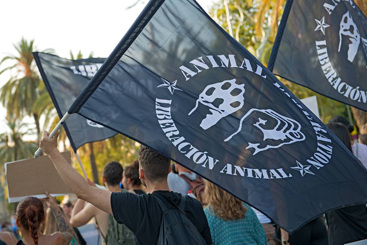 activisten