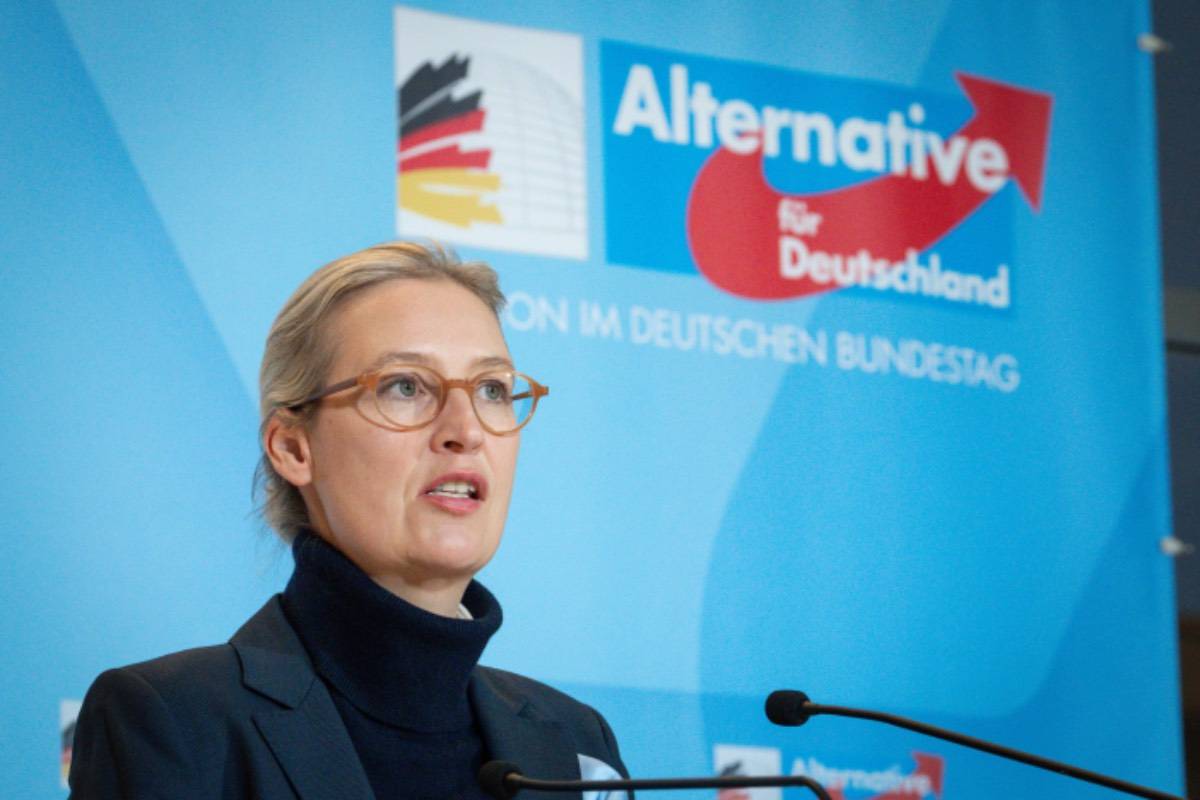 AfD AfD