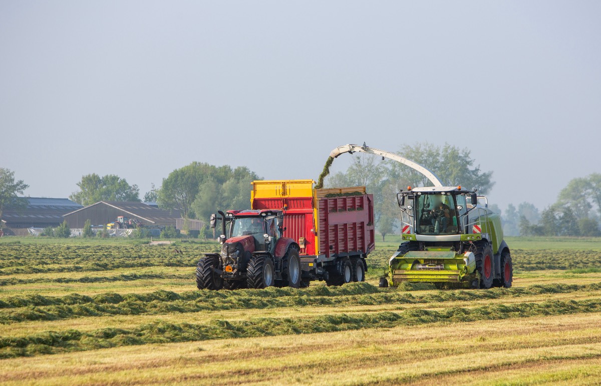 Landbouw Landbouw