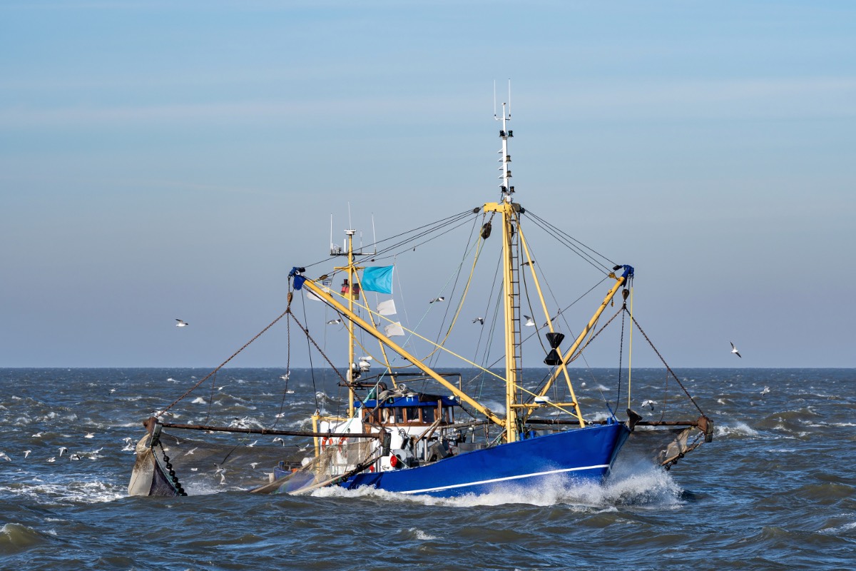 visserij Noordzee