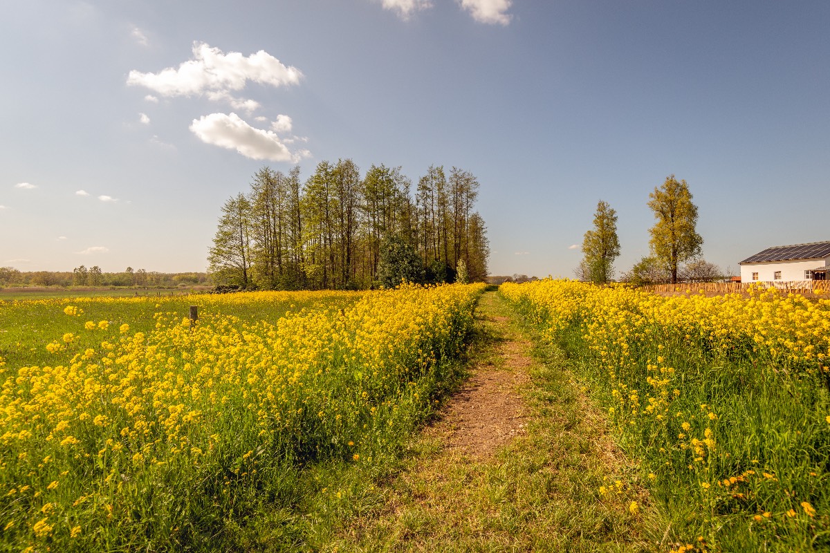 Natuur Natuur