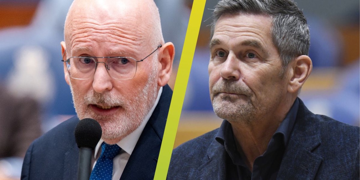 Timmermans Beertema
