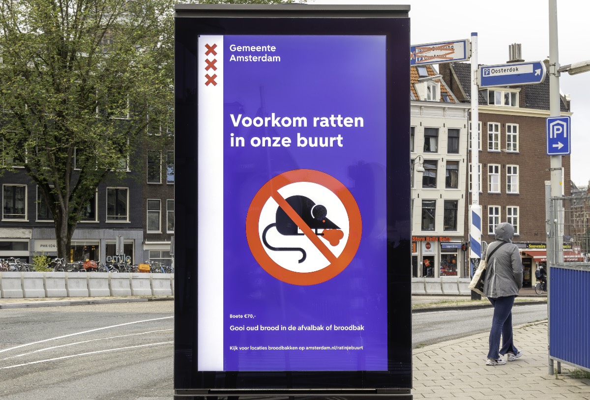 ratten Amsterdam