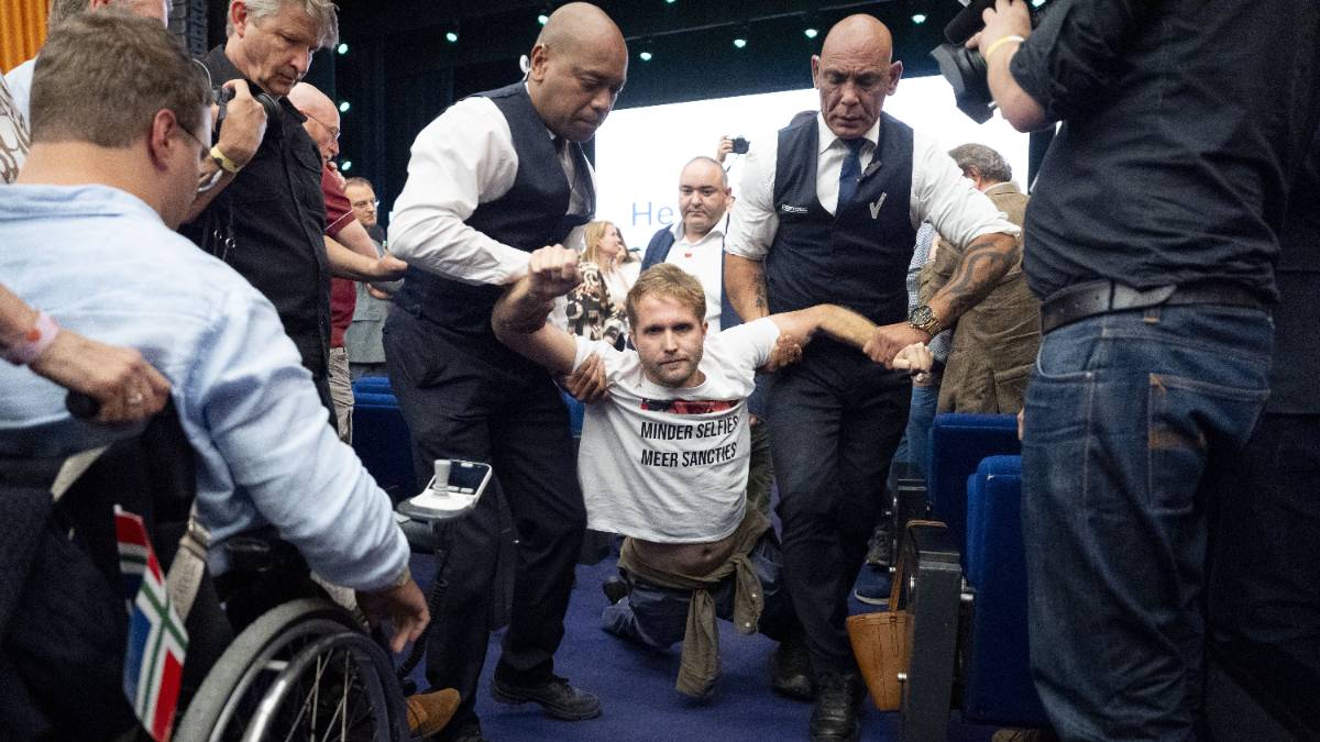 d66