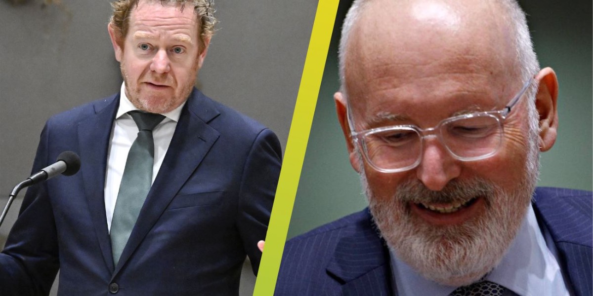 Van Weel Timmermans Van Weel Timmermans