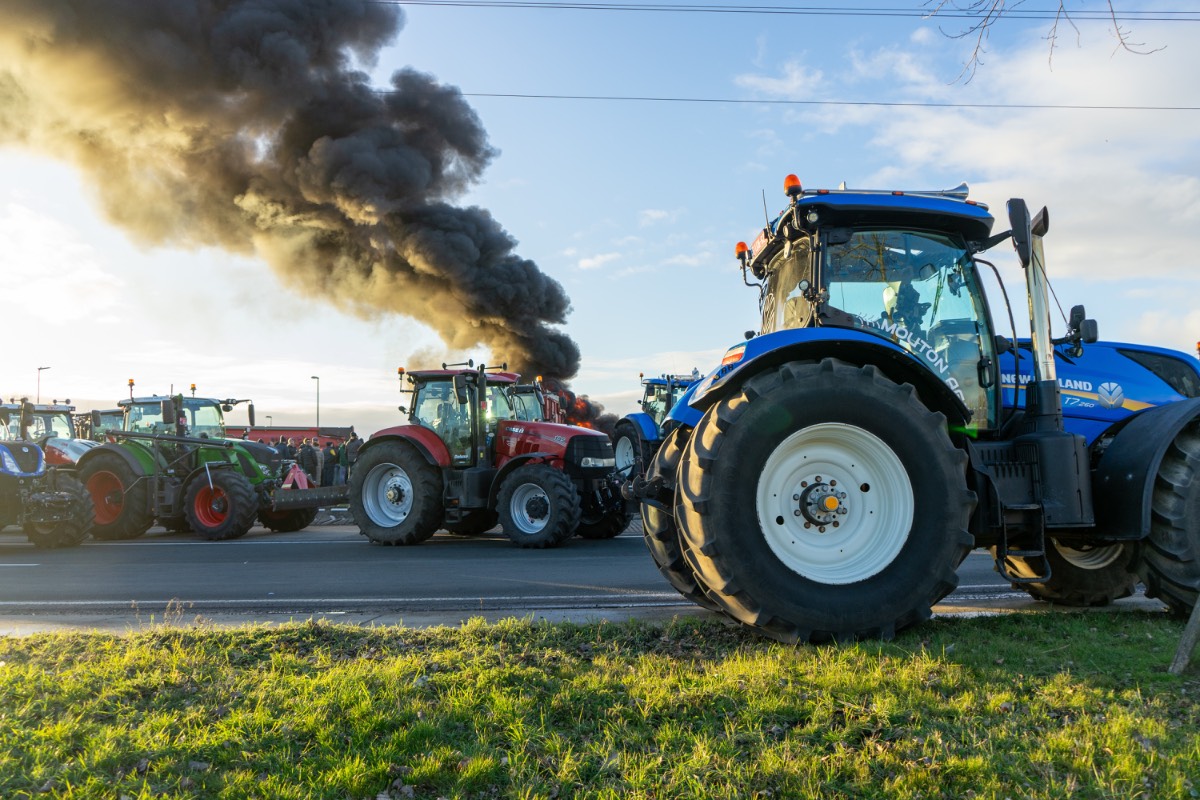 Boeren