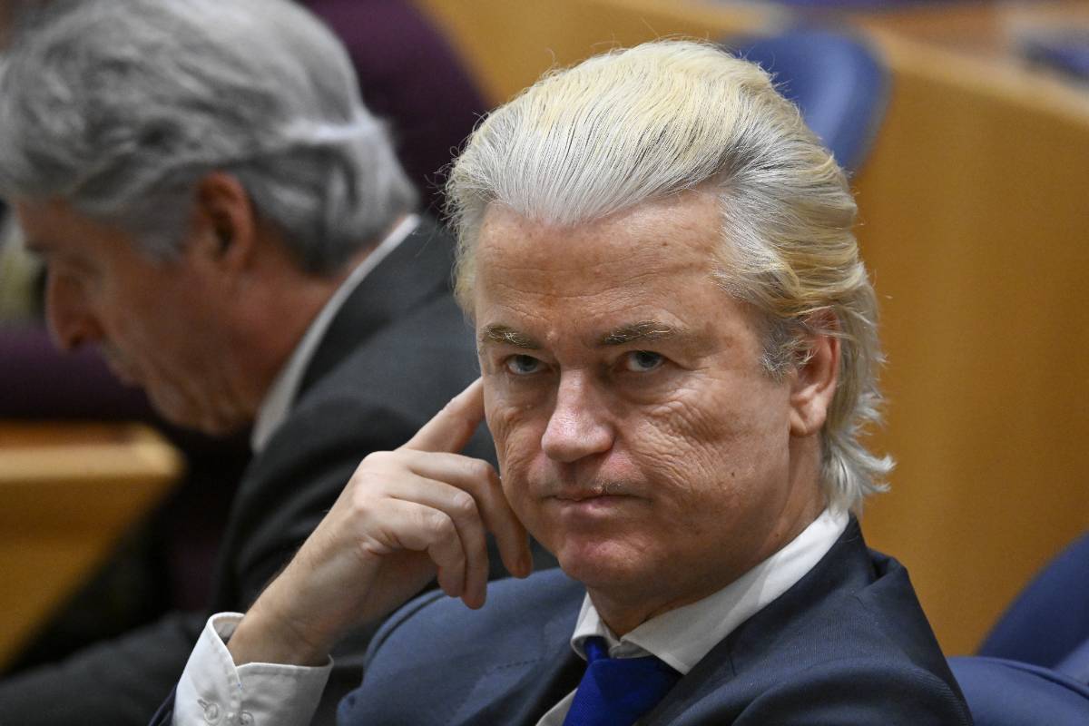 Wilders Wilders