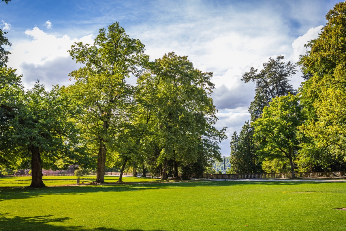 Park Park