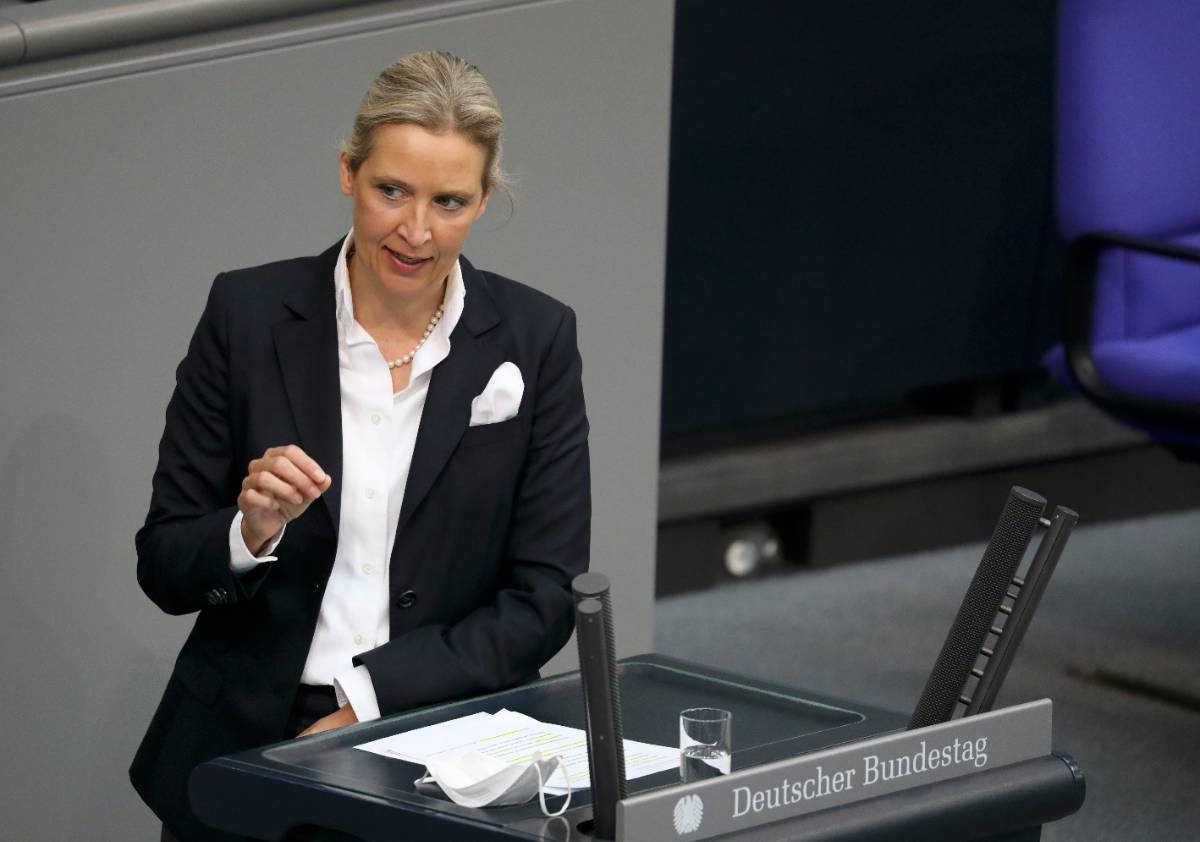 Weidel